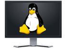 Установка Linux на ваш компьютер или ноутбук в Красноярске.